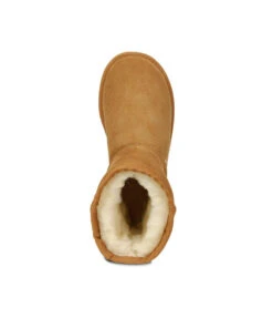 Men's UGG Premium Classic Mini 26 Men's UGG Premium Classic Mini -Uggbay Get discount on mens ugg boots at ugg australian collection premium classic mini uggs