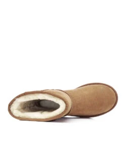 Women's UGG Classic Short 38 Women's UGG Classic Short -Uggbay ch1 1 dcd41bc5 fcc3 4ae9 847e b40379c7e14d