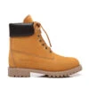 Men's UGG Noah Boot