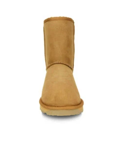Men's UGG Premium Classic Short 38 Men's UGG Premium Classic Short -Uggbay uggshort2