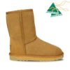 Women's UGG Premium Classic Short