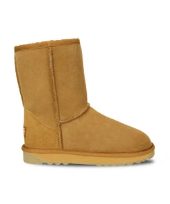 Women's UGG Premium Classic Short -Uggbay uggshort8 cd1b98e2 de7a 4345 9eba a7b1416bf33d